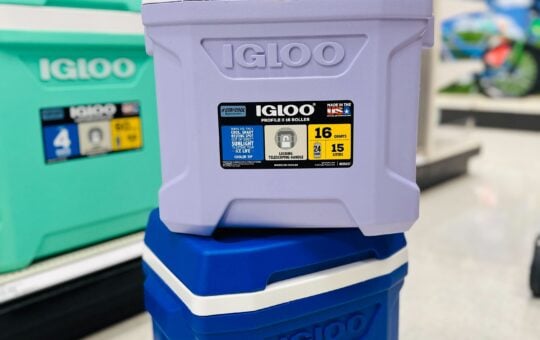 Igloo cooler lavender and blue with teal in background