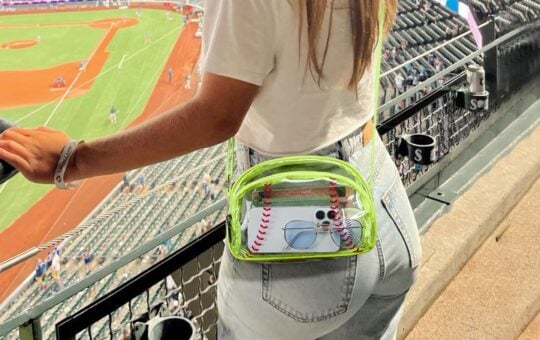 baseball purse
