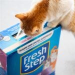 fresh step cat litter