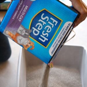 fresh step cat litter