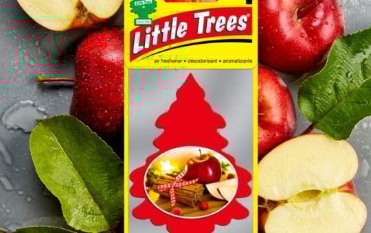 little trees