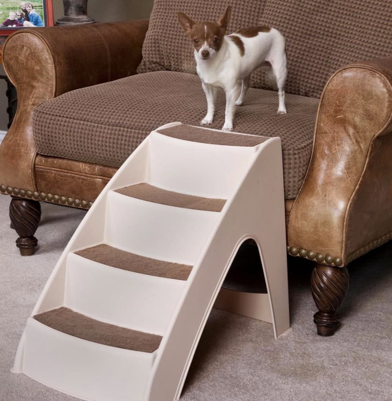 small dog stairs