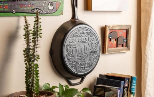 Lodge 12 Inch Cast Iron Skillet States