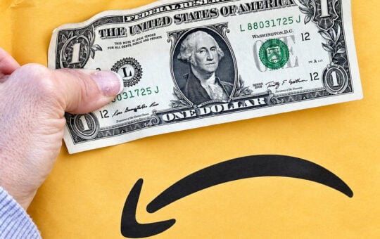 amazon finds under $1