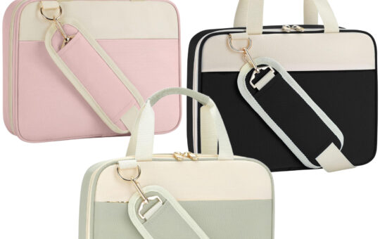 bible case