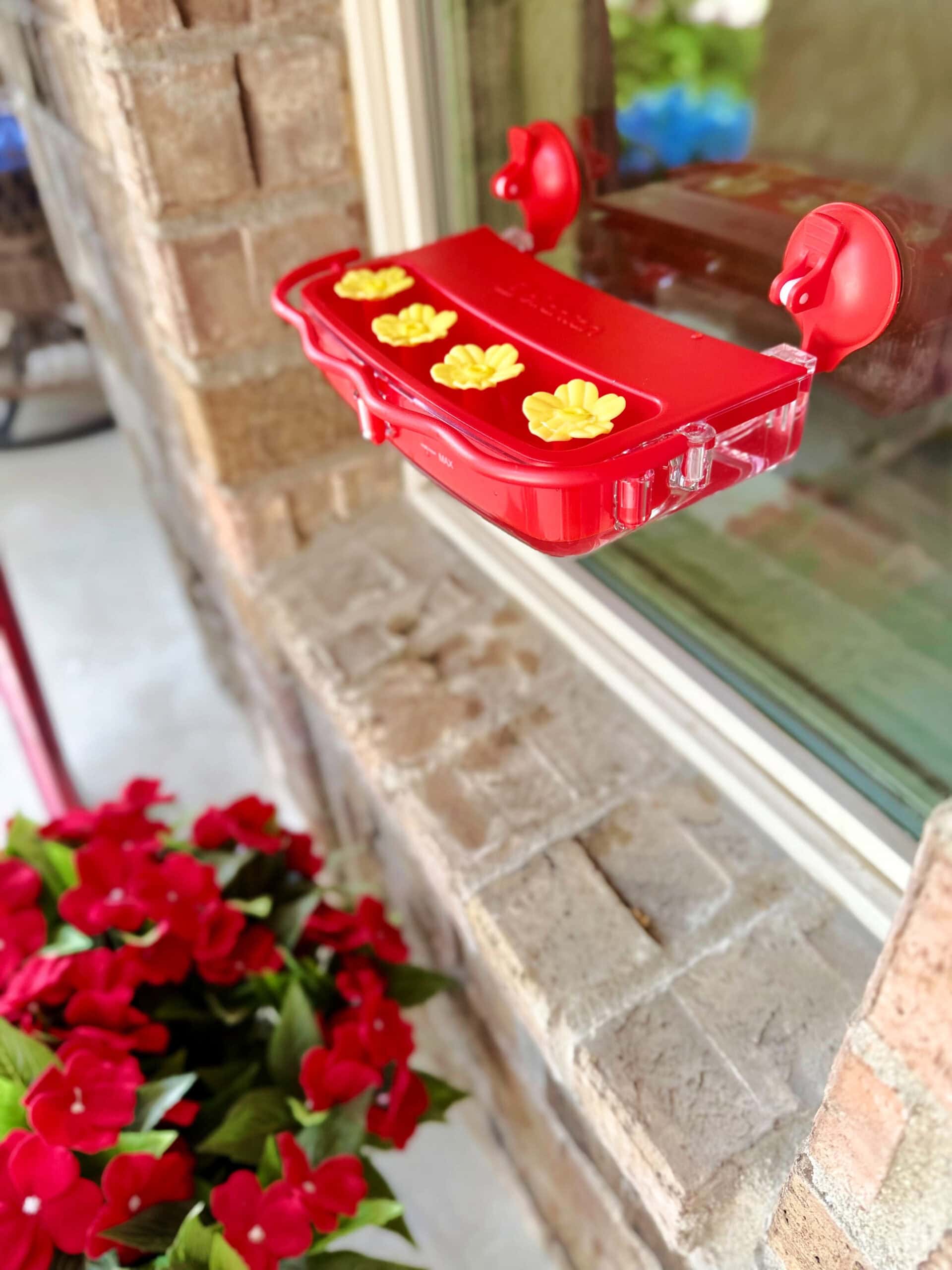 hummingbird feeder with suction cups 