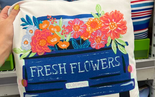 walmart pillows