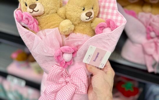 Bear Bouquet Plush Walmart