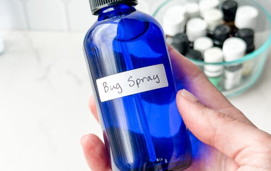 how to make your own homemade bug spray