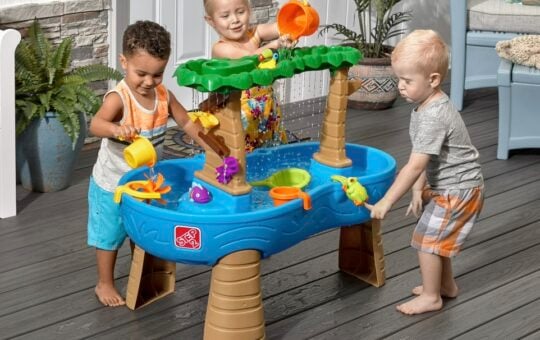 Step2 Tropical Rainforest Water Table