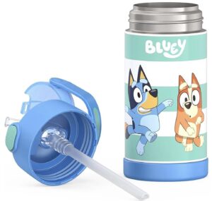 bluey thermos water bottle