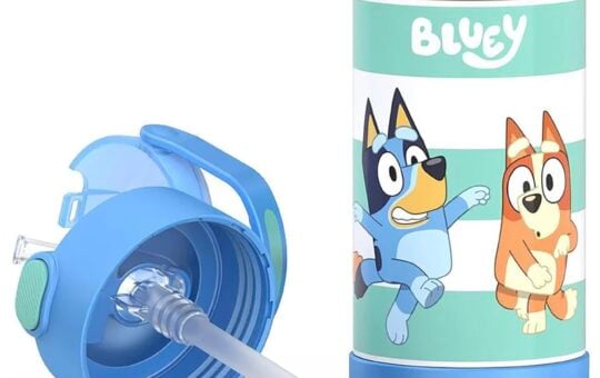 bluey thermos water bottle