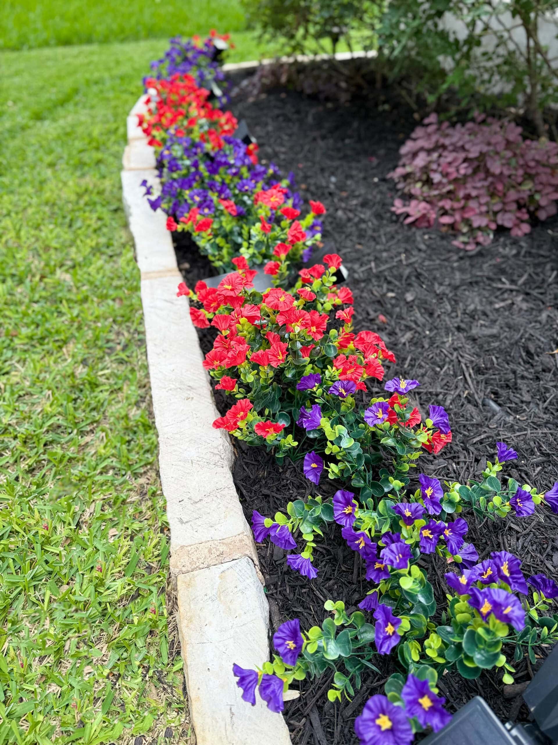 garden bed after