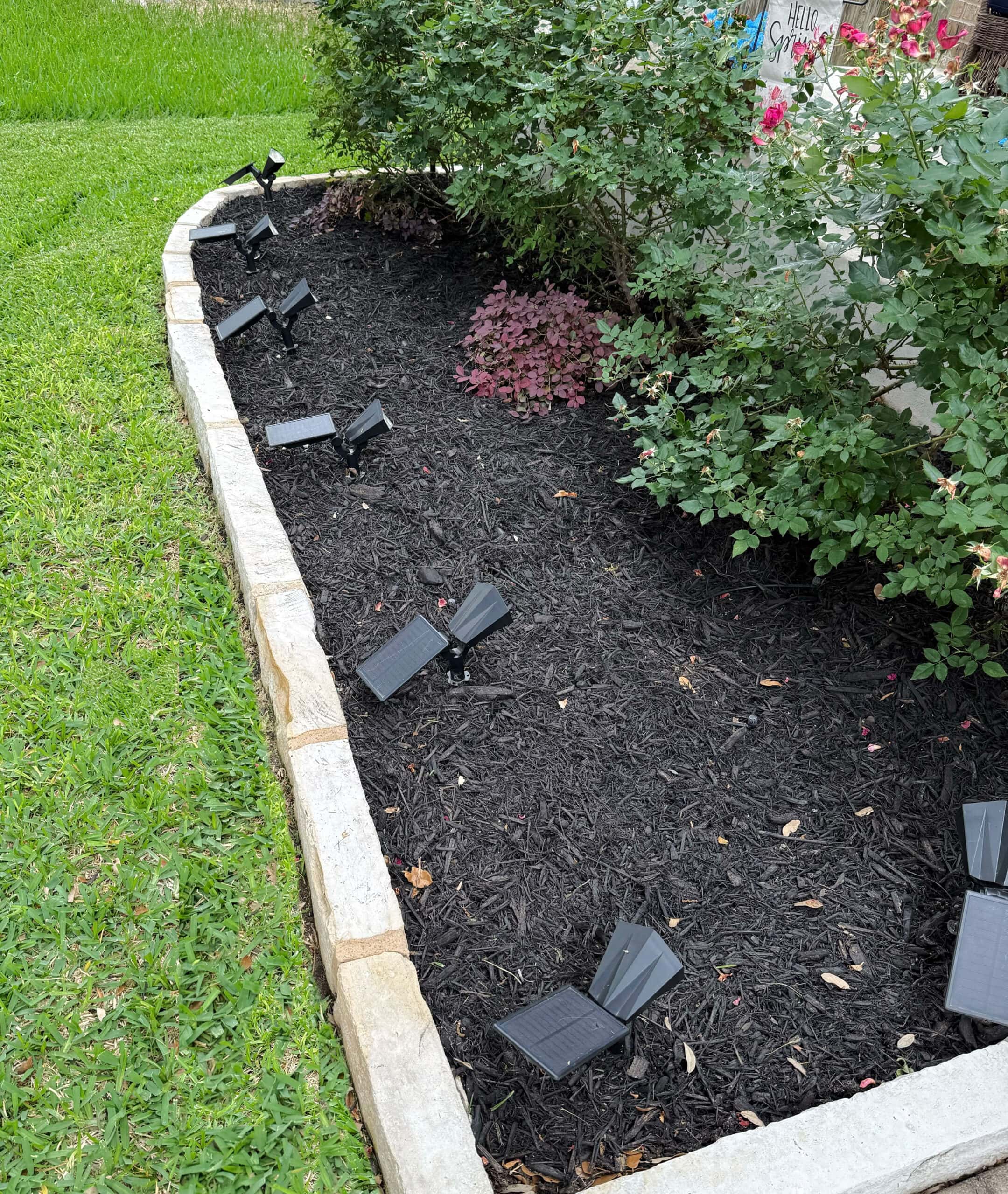 garden bed before