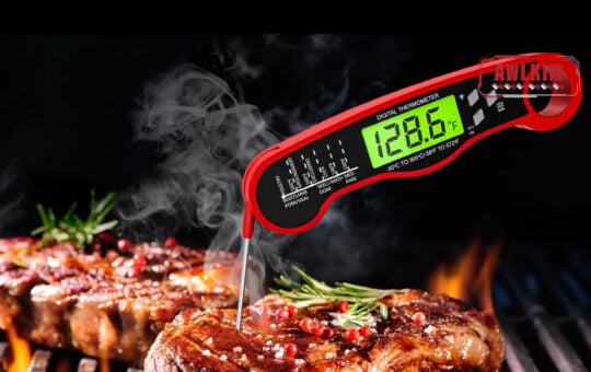 meat thermometer