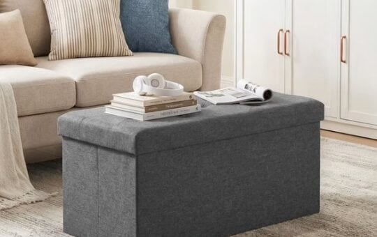 Gianna Folding Storage Ottoman Bench
