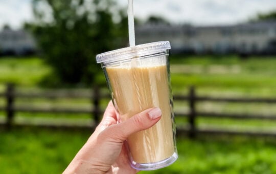 Copycat orange julius recipe