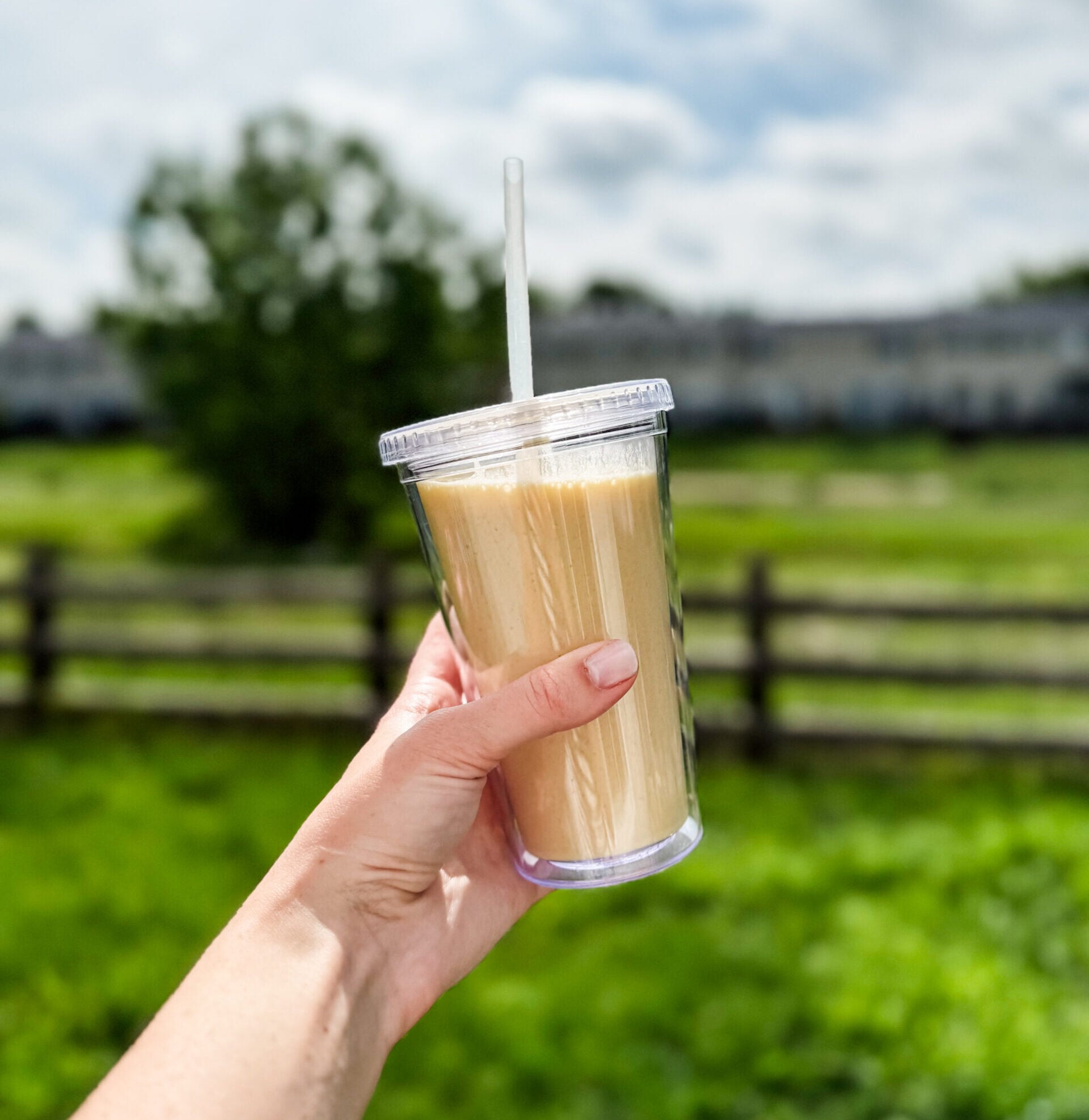 Copycat Orange Julius Recipe in cup 