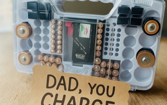 battery daddy