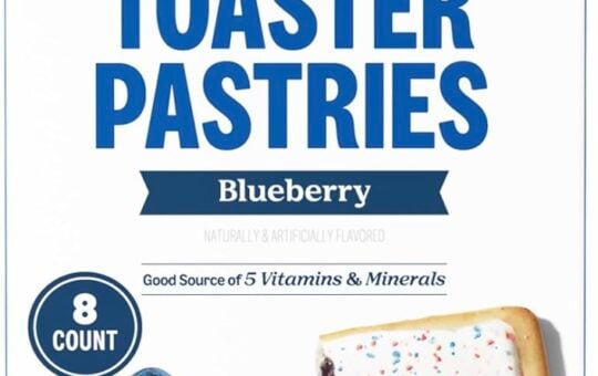 blueberry toaster pastries