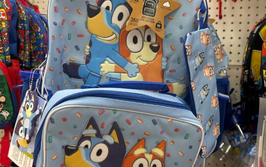 bluey backpack