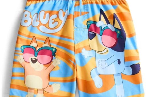 bluey swim trunks character toddler