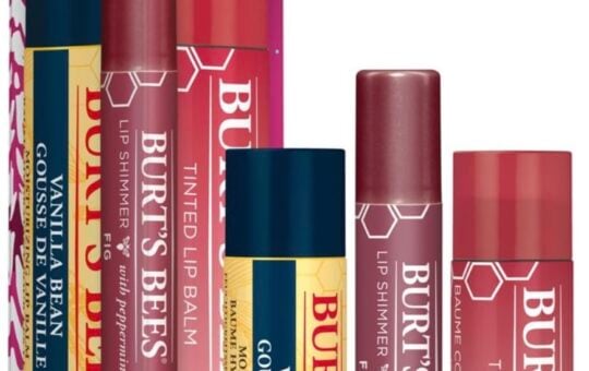 burts bees lip balm set