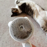 cat brush