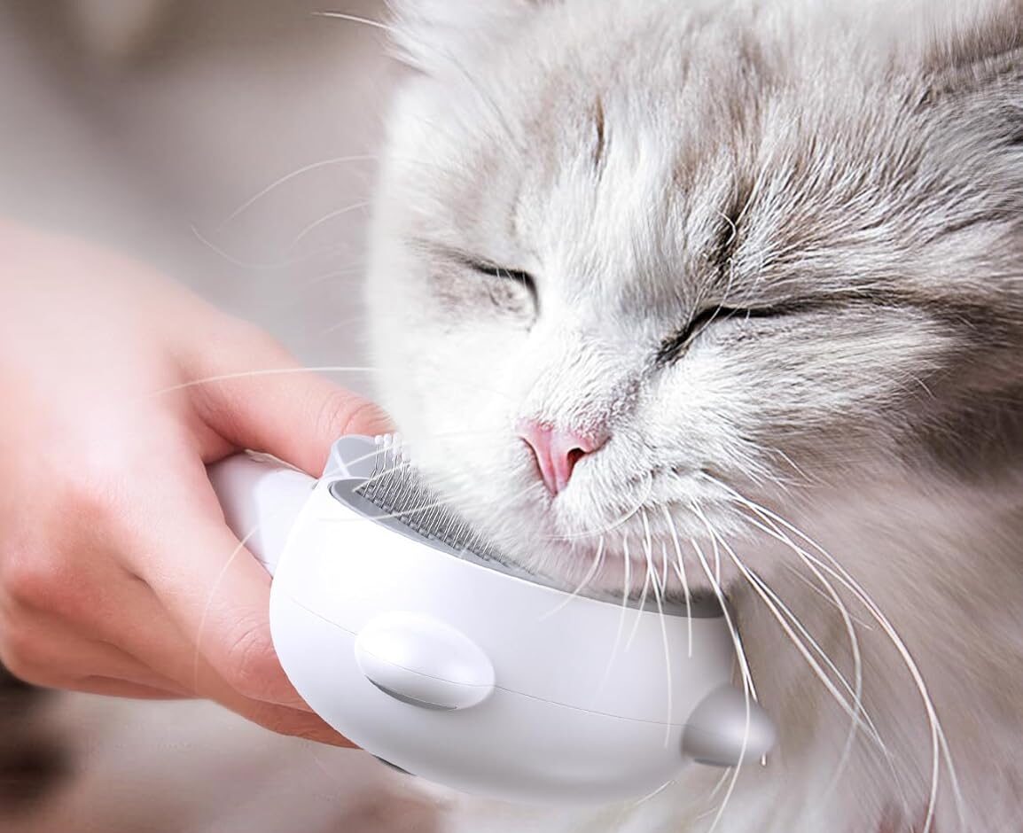 cat brush