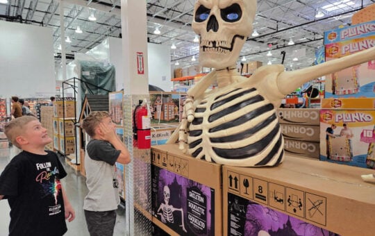 costco skeleton