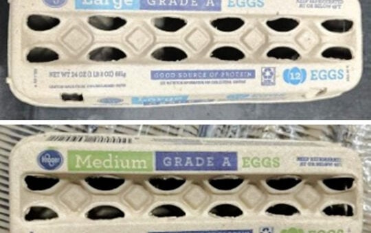kroger eggs (1)