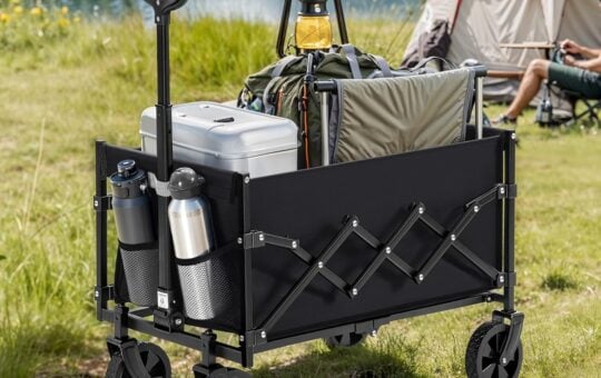 cart