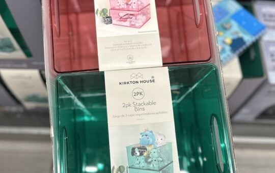 aldi finds stackable bins