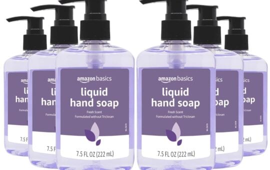 amazon basics hand soap