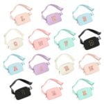belt bag
