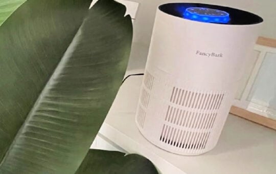 air purifier features