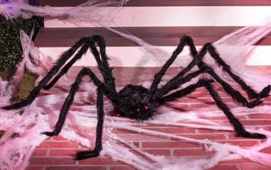 giant spider halloween decoration