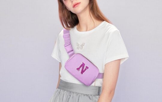 belt bag