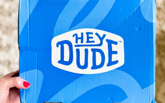 hey dudes