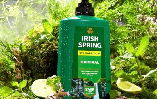 irish spring body wash