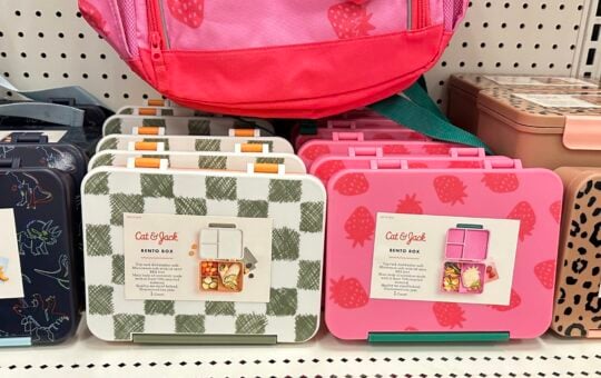 target bento boxes