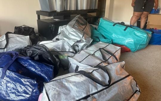 bags