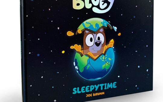 bluey book