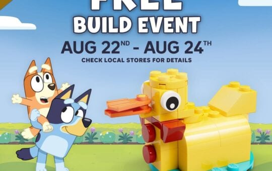 free LEGO bluey Build barnes noble