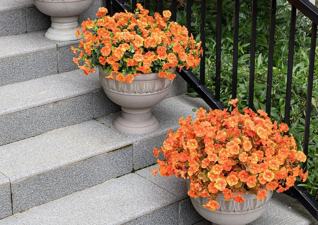 orange porch flowers