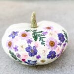 no mess pumpkin decorating