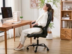 Ylzyxal Office Desk Chair