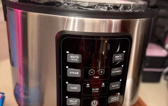 gourmia rice cooker 5 quart