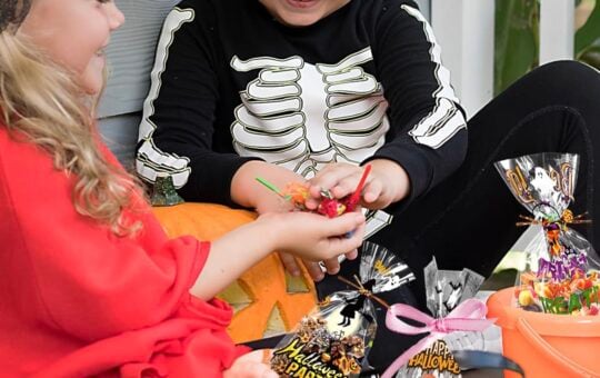 halloween treat bags 120 ct HSHFAMIIY brand