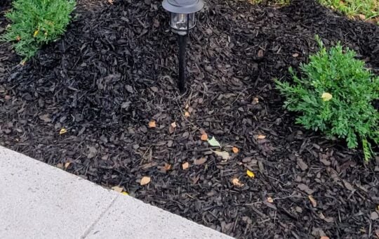 solar lights jamie